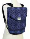 Manypack Dragonfly Blue Hour